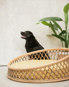 Nidum rattan pet bed - handcrafted luxury dog furniture with canvas mattress