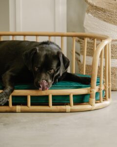 Origo pet bed made from solid rattan poles